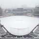 Play ball (or not)!